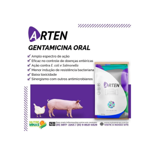Gentamicina Arten Oral - 250gr (Sulfato de Gentamicina)
