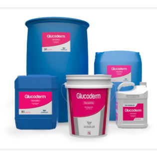 Glucoderm 200lt (Clorexidina 0,5%)