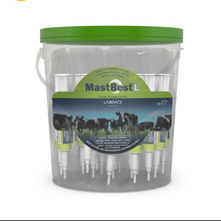 Mastbest l (Sulfato de Gentamicina)