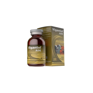 Vigantol Ade 100ml
