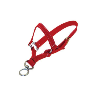 Buçal Nylon Para Terneiro