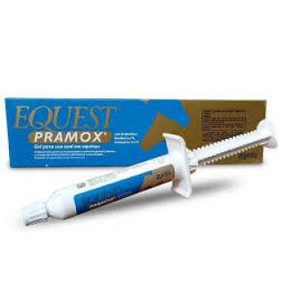 Equest Pramox 12g