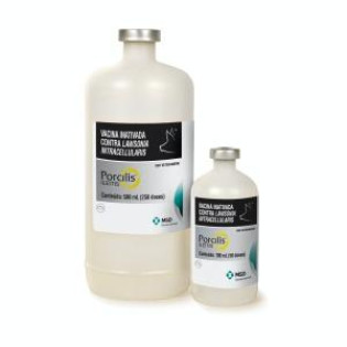 Vac.porcilis Ileitis - Msd 100ml