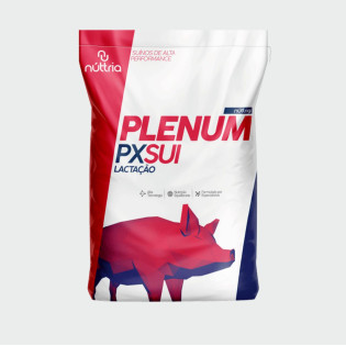 px Sui Top Aurora sr 4 20